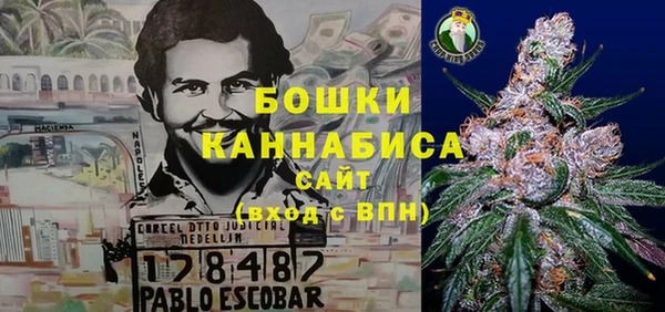 молекула духа Абинск