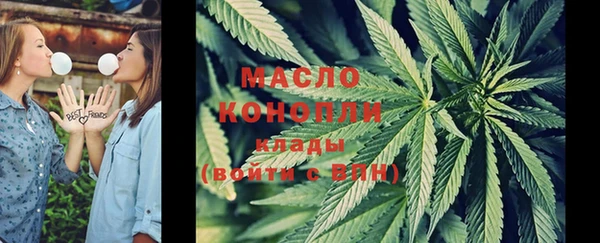 молекула духа Абинск