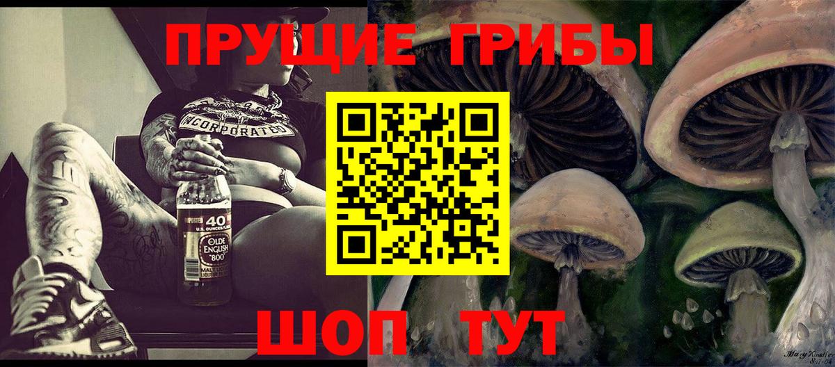Галлюциногенные грибы мицелий Новоалександровск