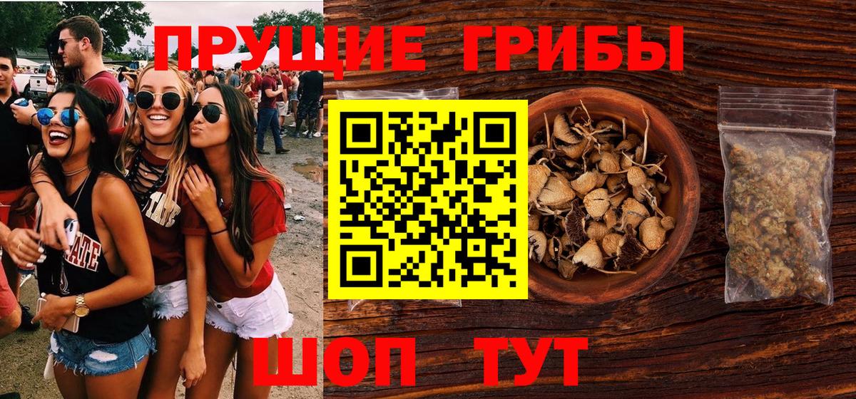 Галлюциногенные грибы мицелий  Вход с VPN  Новоалександровск 